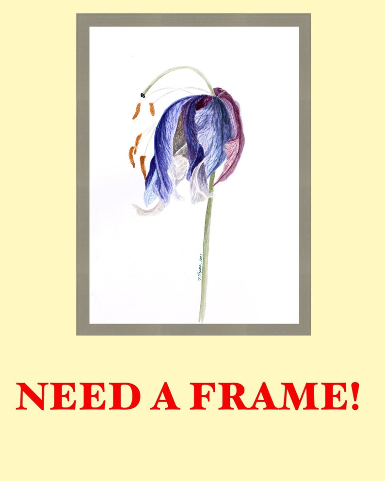 May include: Watercolor painting of a drooping flower in shades of blue, purple, and white, set in a gray frame. The flower has a green stem and brown stamens. The text "NEED A FRAME!" is in red below the frame.