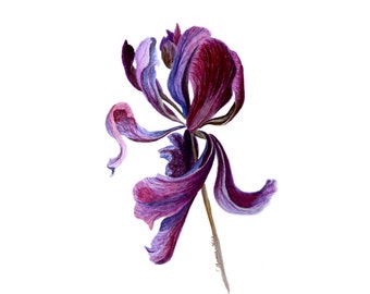 Liljamålning Blomma Original Akvarellkonst Blomsterkonst Väggkonst Botanisk Illustration 43 x 30 cm av TetianaTereshArt