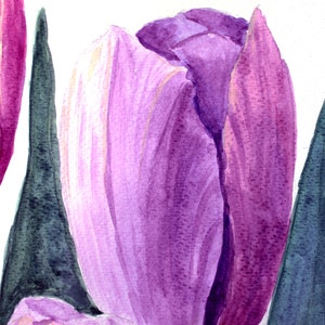 May include: Watercolor painting of a purple tulip in full bloom, with a detailed depiction of its petals. The artwork features a white background and dark green leaves, showcasing the flower's vibrant color and delicate texture.