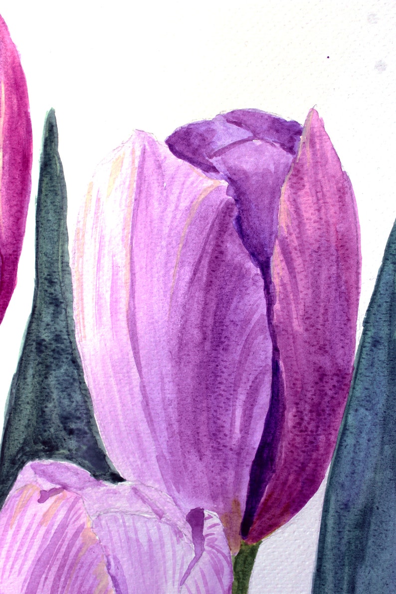 May include: Watercolor painting of a purple tulip in full bloom, with a detailed depiction of its petals. The artwork features a white background and dark green leaves, showcasing the flower's vibrant color and delicate texture.