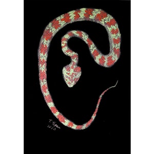 Snake Painting Reptiles Original Watercolor Art Animal Artwork Metallic Illustration Black Watercolor Painting 8&quot;x12&quot; by TetianaTereshArt