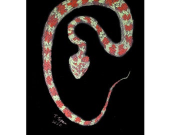 Slang schilderij reptielen originele aquarel kunst dierlijke artwork metallic illustratie zwarte aquarel schilderij 8 "x 12" door TetianaTereshArt