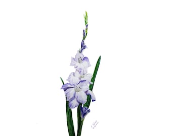 Gladiolus Painting Flower Original Watercolor Floral Art Flowers Artwork  Wall Art Botanical Illustration 17" by 12" by TetianaTereshArt