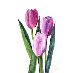May include: Watercolor painting of three tulips in shades of pink and purple. The flowers have green stems and long, green leaves. The background is white, highlighting the vibrant colors of the flowers.