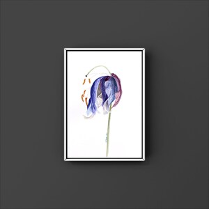 May include: A framed watercolor painting of a drooping, bell-shaped flower. The flower has purple, blue, and white petals with brown stamens. The stem is green, and the artwork is set against a white background within a white-bordered frame.