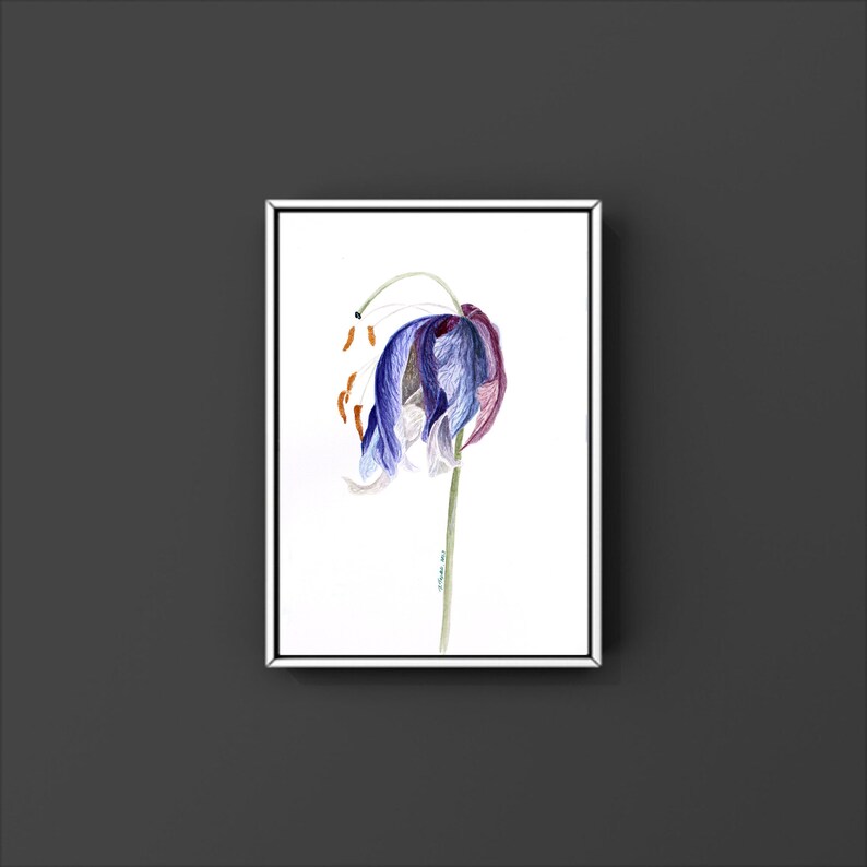 May include: A framed watercolor painting of a drooping, bell-shaped flower. The flower has purple, blue, and white petals with brown stamens. The stem is green, and the artwork is set against a white background within a white-bordered frame.