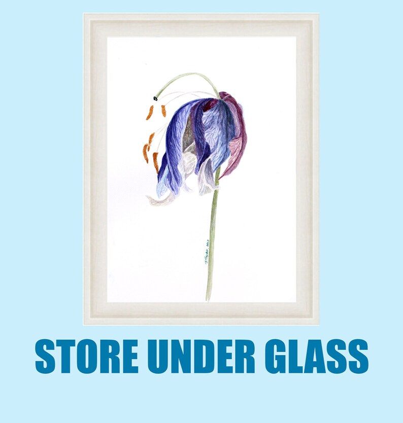 May include: Watercolor painting of a drooping flower in shades of purple, blue, and white, set against a white background. The artwork is framed in a light beige frame. The text "STORE UNDER GLASS" is at the bottom.