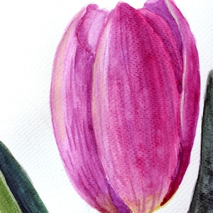 May include: A watercolor painting of a vibrant pink tulip in full bloom. The flower's petals display a gradient of pink hues, with a touch of yellow at the base. Green leaves and stem complete the floral composition against a white background.