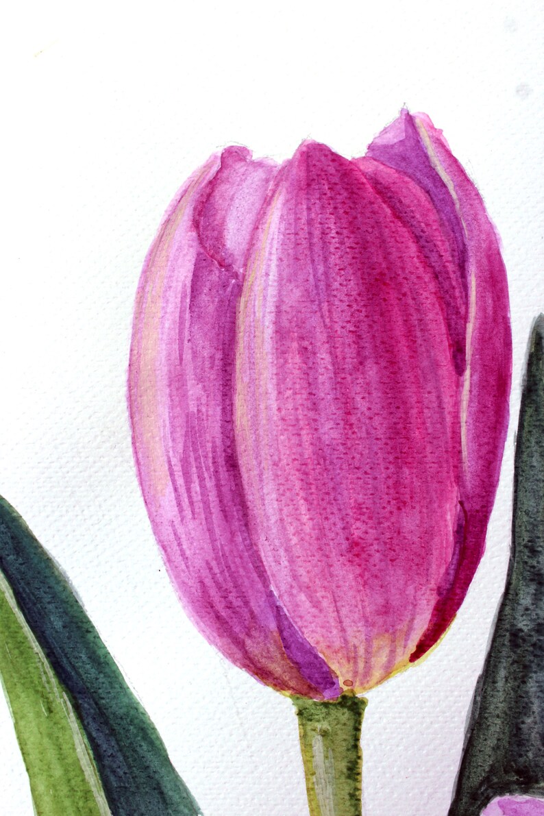 May include: A watercolor painting of a vibrant pink tulip in full bloom. The flower's petals display a gradient of pink hues, with a touch of yellow at the base. Green leaves and stem complete the floral composition against a white background.