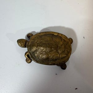 May include: A small, cast metal turtle figurine with a textured, dark bronze-colored finish. The turtle is depicted in a top-down view, showing its detailed shell pattern, four legs, and head extending from the side of the oval-shaped body.