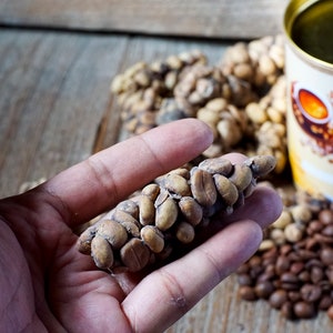 Coffee Luwak Liar Indonesia Wild Civet Beans Gayo Arabica - Etsy
