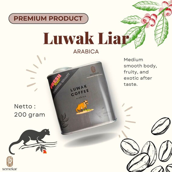 LUWAK LIAR ACEH GAYO