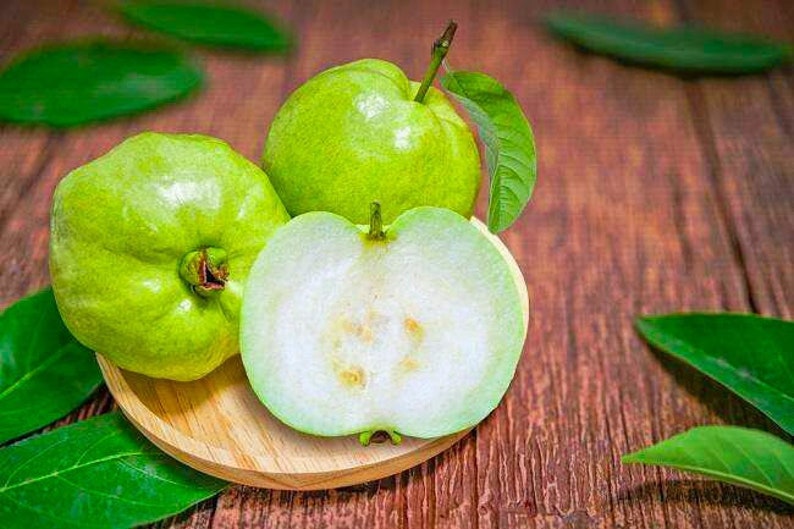 Jambu, Guava seeds, Psidium guajava, the common guava, yellow guava, lemon guava, apple guava