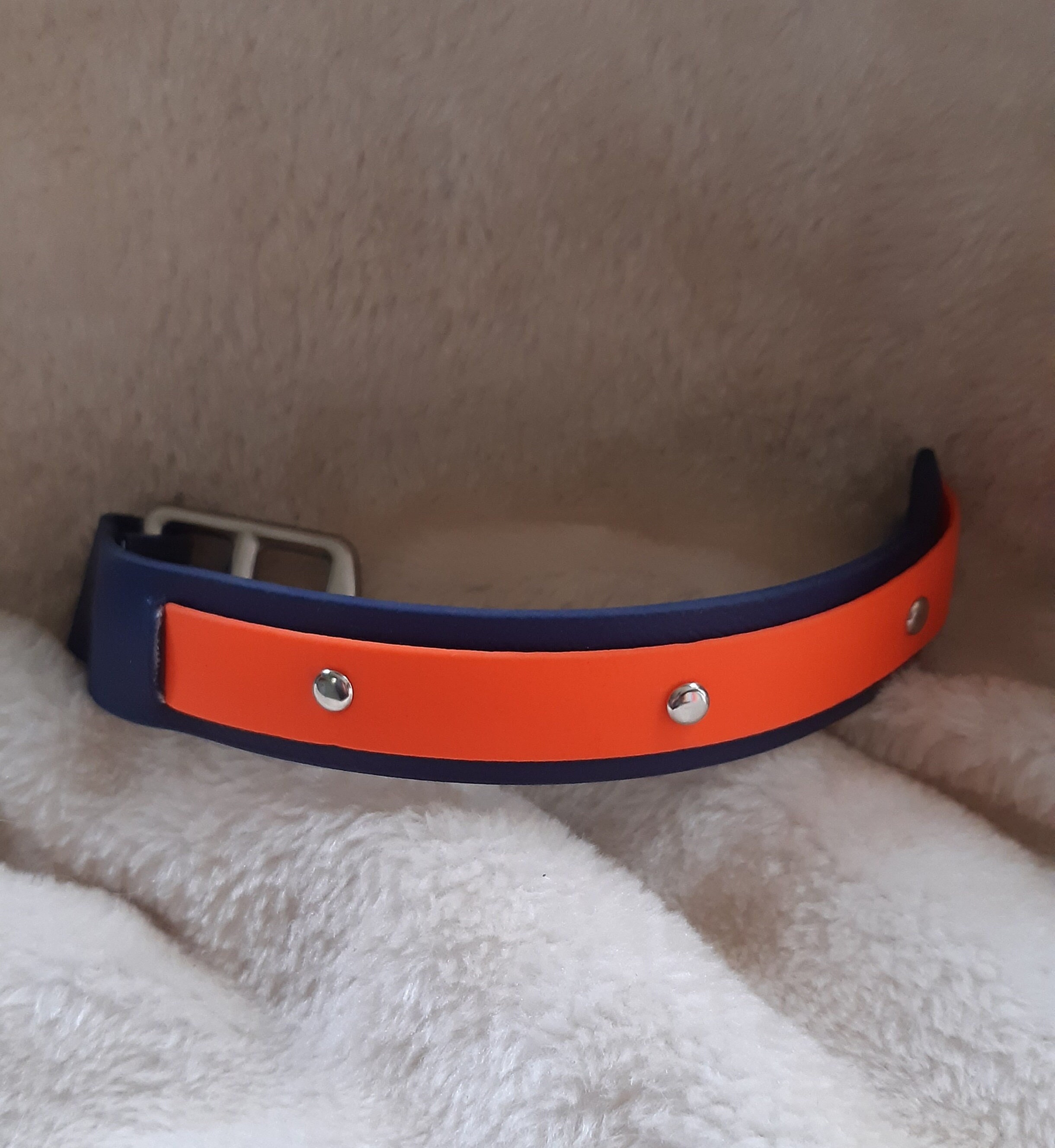 Collier Plat Doublé Biothane 25mm