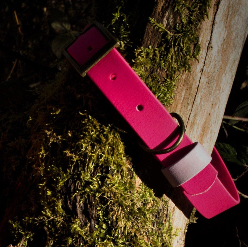 Collier Plat en Biothane 25mm avec Boucle Réglable