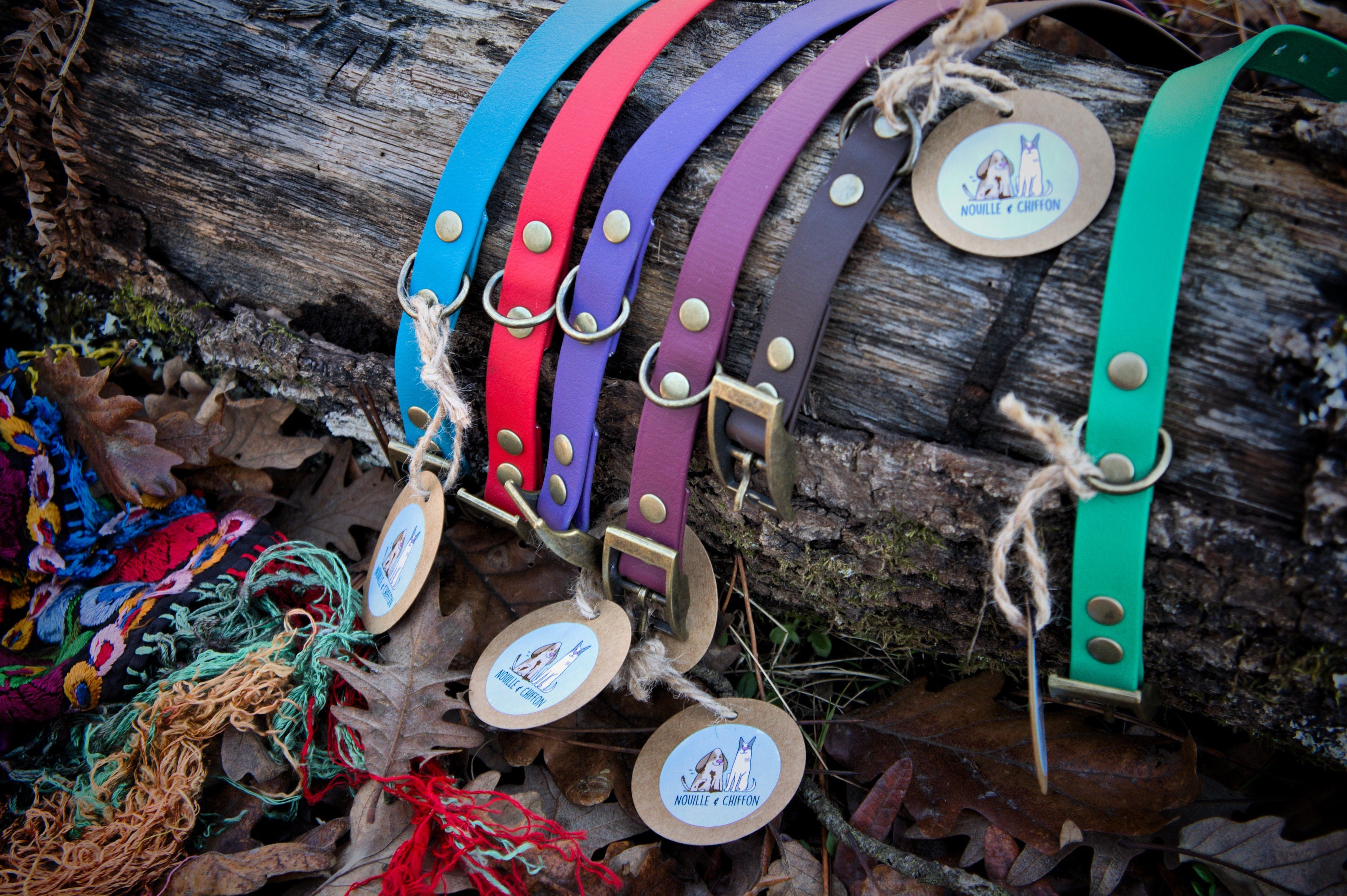 Collier Plat Biothane 19mm Petit et Moyen Chien