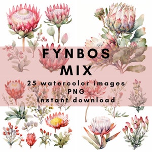 Un mix di Fynbos dal Sud Africa. 25 immagini ad acquerello in formato PNG (300DPI) per il download immediato e l'uso commerciale.