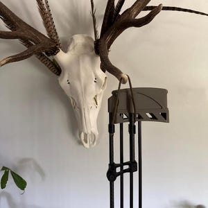 May include: A deer skull with antlers and decorative feathers is mounted on a wall. A bow quiver with arrows is positioned in front of the skull. The quiver is dark brown and black.