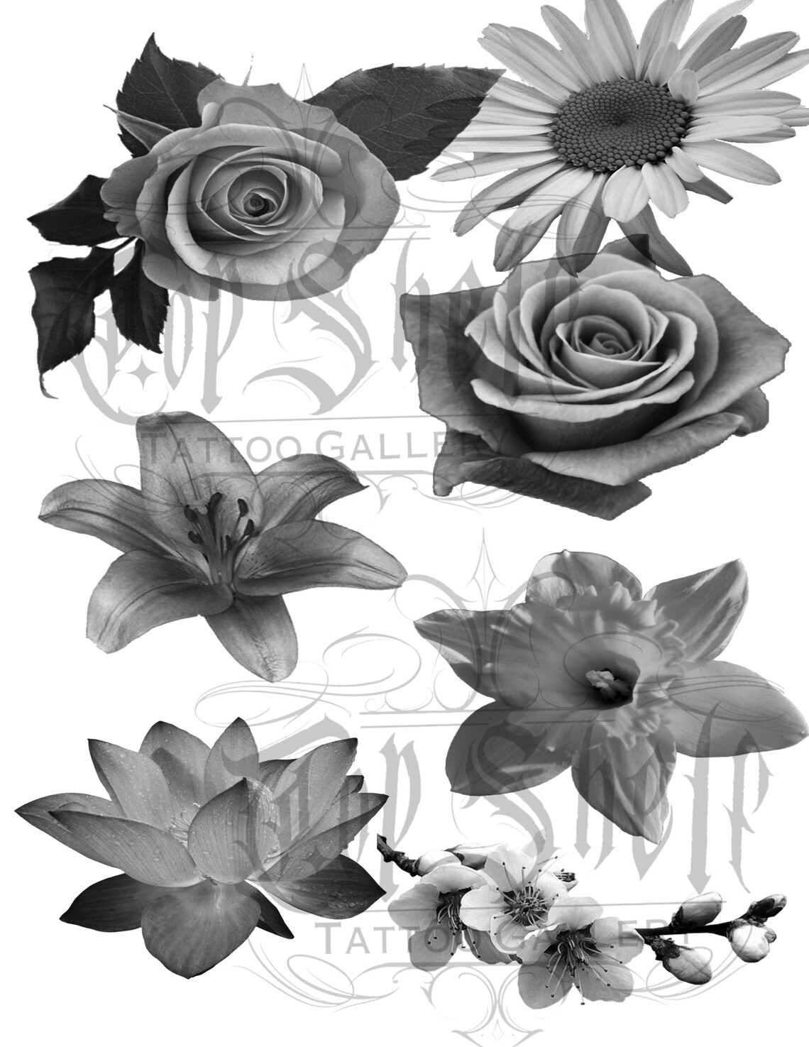 Procreate Tattoo Brush Set Realism Flowers Etsy