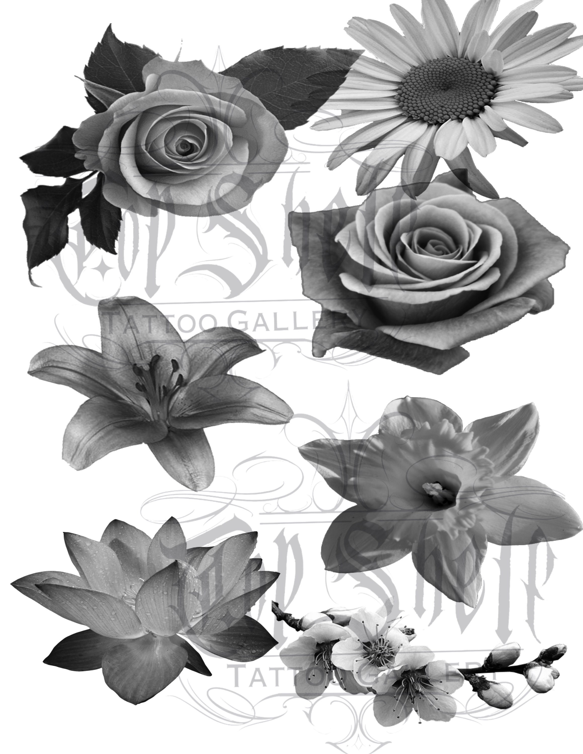 Procreate Tattoo Brush Set Realism Flowers - Etsy