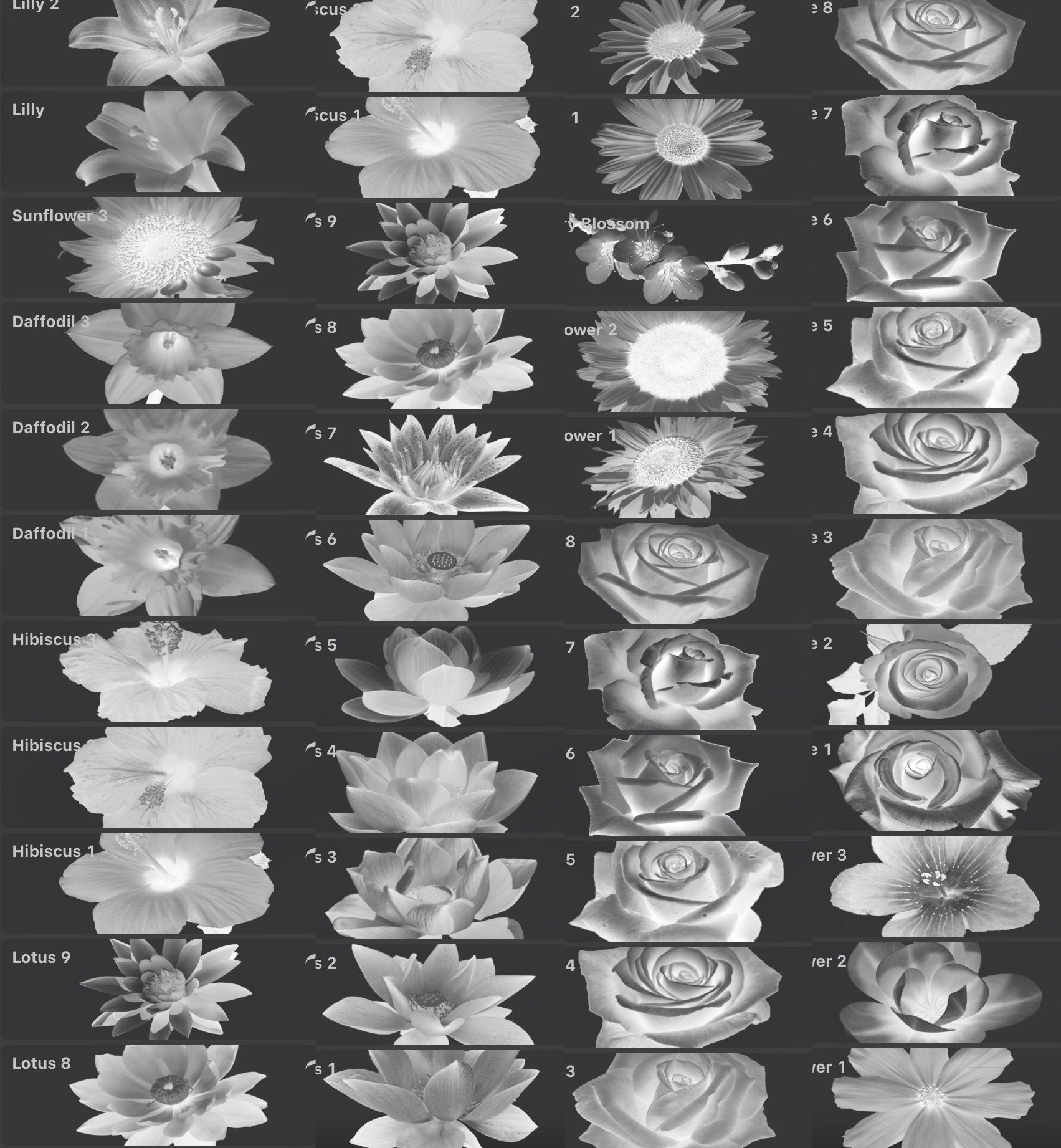 Procreate Tattoo Brush Set Realism Flowers - Etsy