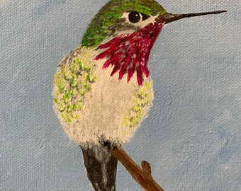 Calliope Hummingbird Painting