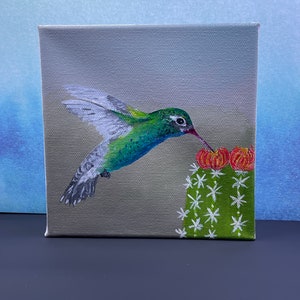Broad-billed Hummingbird with Cactus