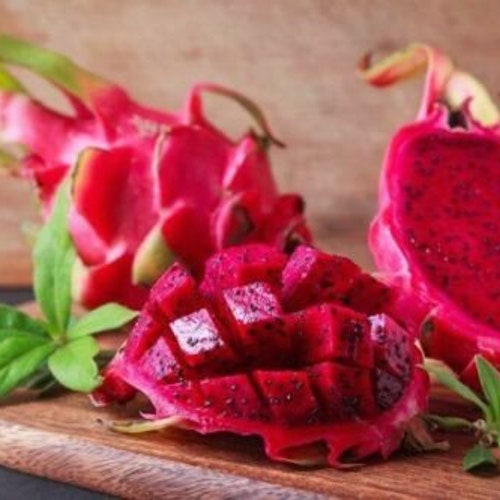Red Dragon Fruit pitaya CUTTINGS 711 INCH 2 TOTAL Etsy