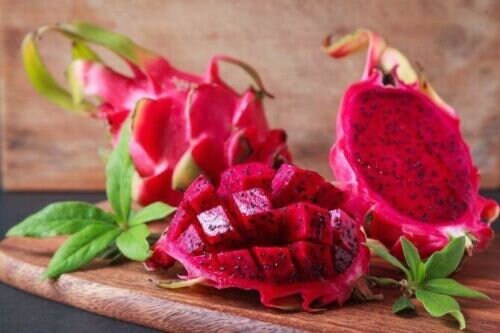 Red Dragon Fruit (Pitaya) CUTTINGS: 7”-11” INCH (2 TOTAL)