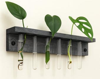 Live Edge Plant Shelf Propagation Station | Träväxtstartare med provrör present