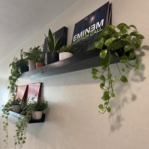 Prateleira flutuante para plantas, suporte de parede em madeira maciça de choupo para plantas