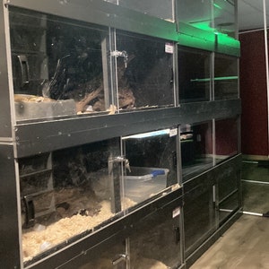 May include: A stack of black reptile cages with glass doors and clear plastic containers inside. The cages are stacked on top of each other and have a wooden floor.