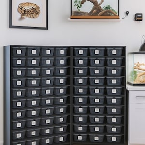 6qt Hatchling Snake-rek: reptielenbehuizing van pvc