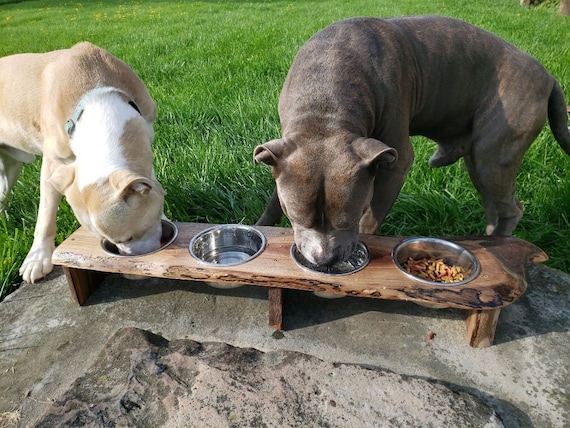 Live Edge Raised Pet Stand for Food or Water Bowls, Spalted Maple or Black  Walnut