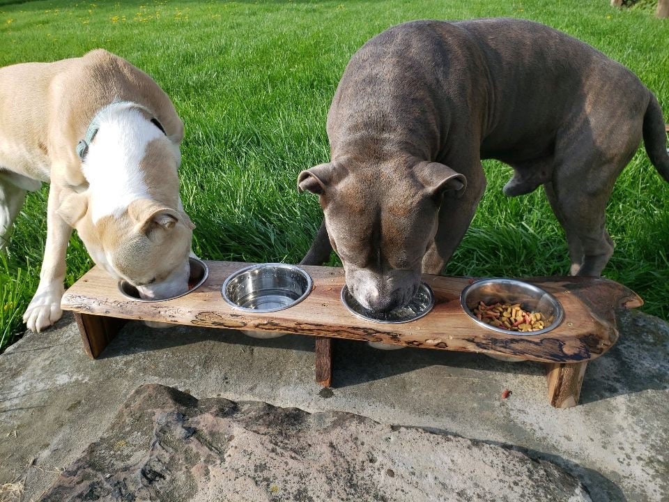 Live edge dog bowl cheap