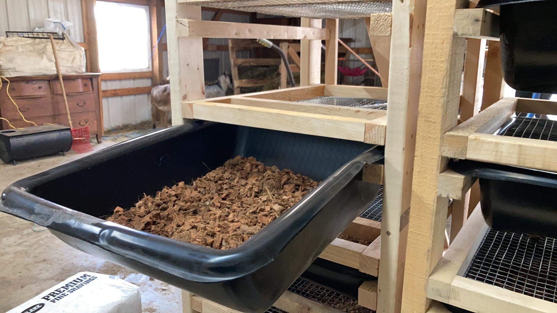 Stumps Space-saving Wooden Rodent Rat Breeding Storage Racks - Etsy
