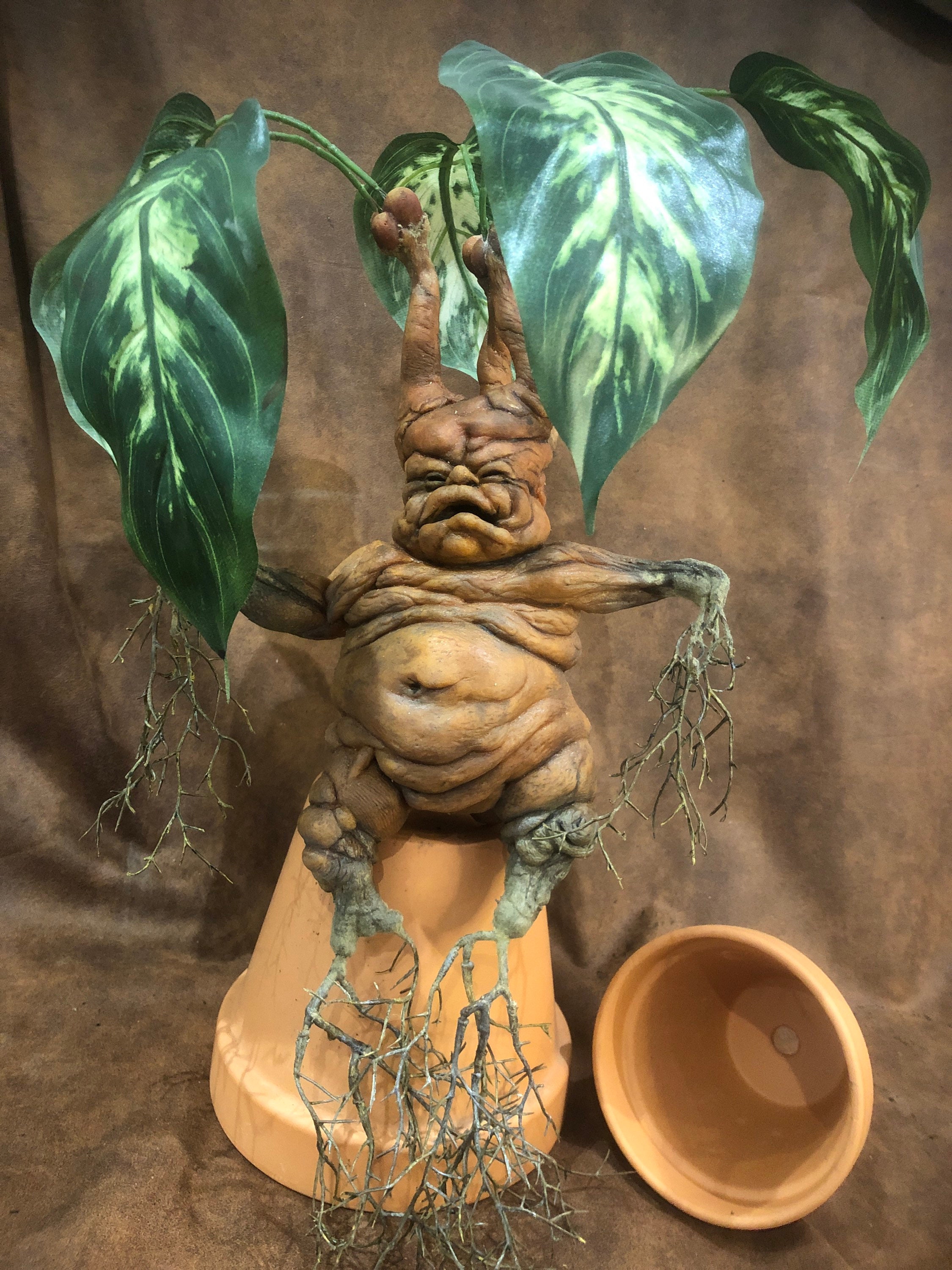 Mandrake Harry Potter Herbology Harry Potter Replica Mandragora Hogwarts  Statue