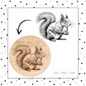 Laserdatei Eichhörnchen SVG DXF PNG Lasergravur Eichhörnchen Geschenk Eichhörnchen Schild Herbst Laser Gravur Datei Digitaler Download v530