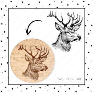 Archivo láser Ciervo SVG DXF PNG Grabado láser Cabeza de ciervo Regalo Ciervo Signo Cazador Animal Grabado láser Archivo Descarga digital v496