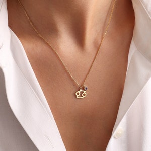 Sternzeichen Halskette • für meine Tochter Halskette • Schwester Halskette • Astrologie Halskette • Geburtstagsgeschenk für sie