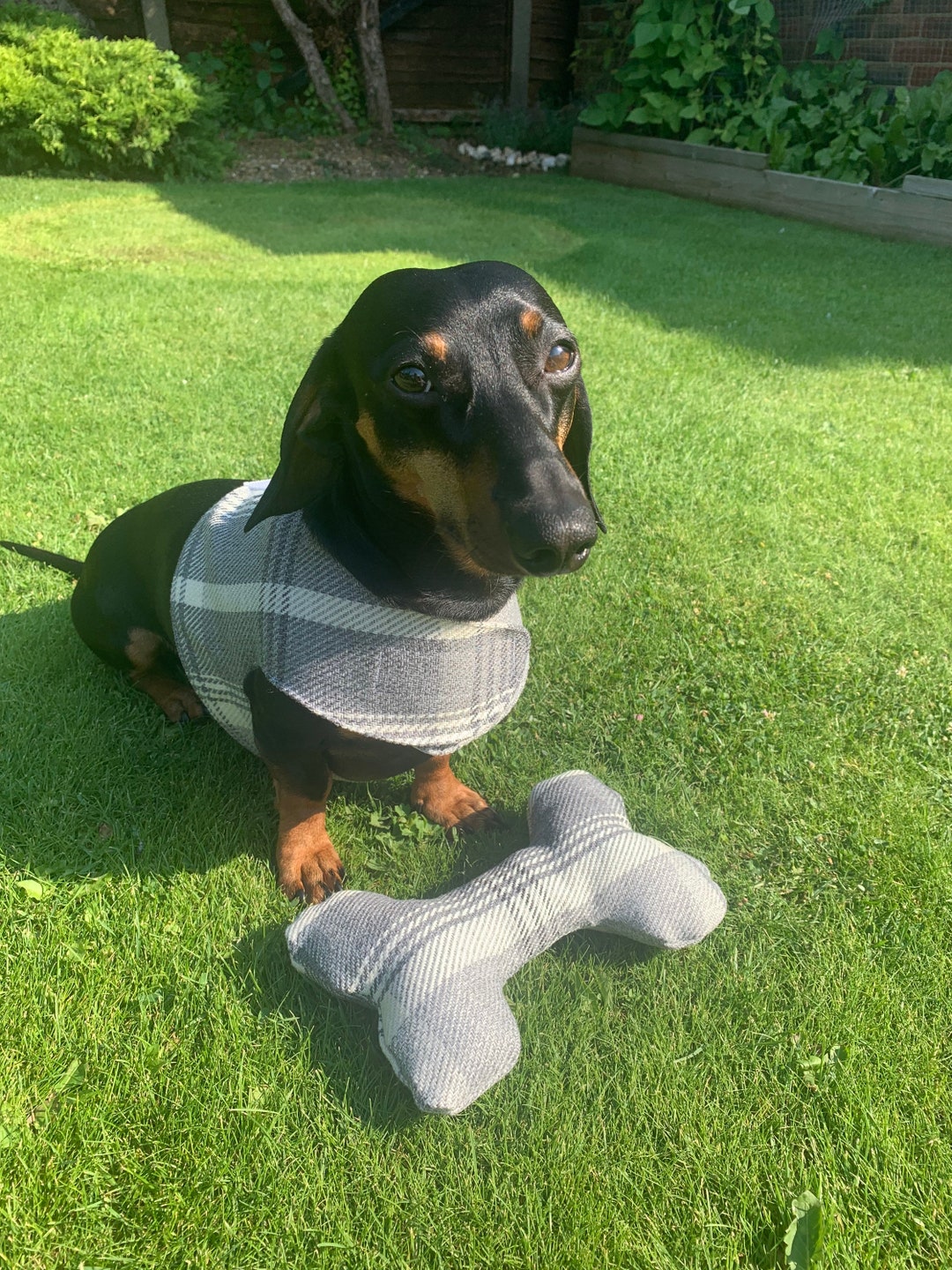 Sausage Dog Harness Jacket or Small and Medium Size Dogs by Etsy