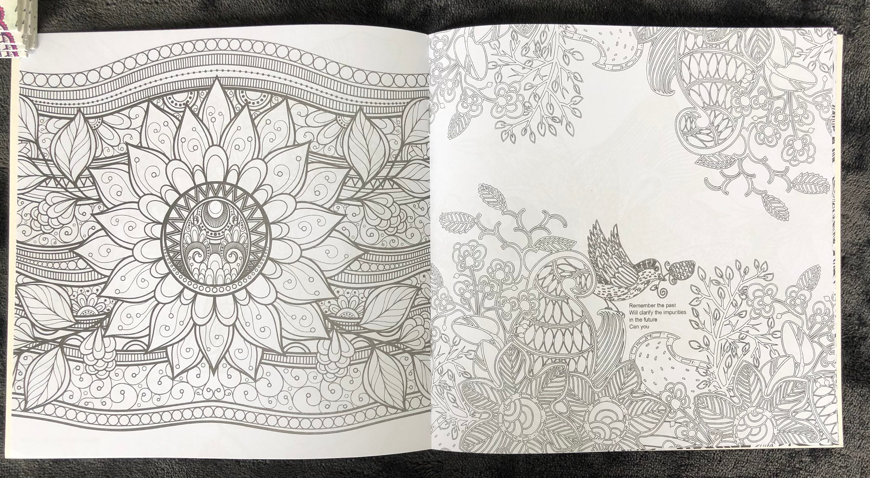 adult coloring books etsy