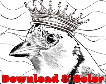 Animal Empire Magpie Jay Tropical Bird Grayscale Line Drawing Illustration Coloring Page for Watercolor Colored Pencil