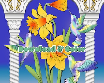 2 Page Hummingbird Garden Coloring Book Download Hummingbirds Line Drawing Illustration Coloring Page Humming Bird Apodiformes