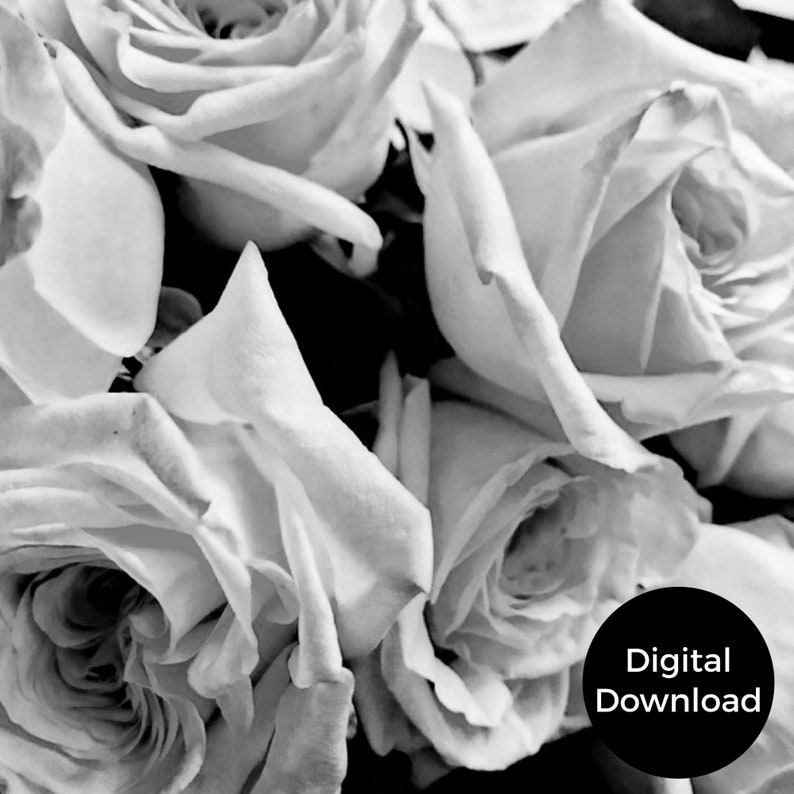 Black and White Roses PRINTABLE Floral Art Wall Decor - Etsy