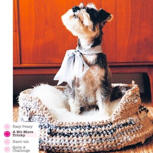 Può includere: Un cagnolino con pelo nero, bianco e marrone è seduto in un letto per animali domestici intrecciato con un cuscino bianco. Il cane indossa un nastro azzurro chiaro intorno al collo e guarda in alto. Il letto ha strisce bianche e nere.