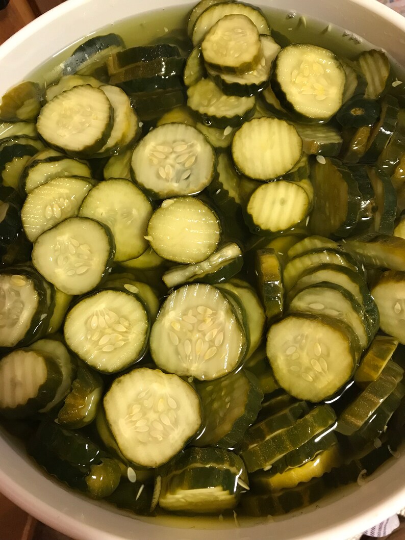 Freeze Dried Dill Pickle Chips High Quality Perfectly Salty Etsy