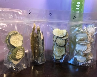 Freeze Dried Dill Pickle Sampler