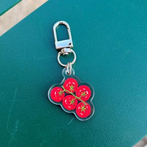 Tomate Schlüsselanhänger: Acryl Anhänger, AirPods Accessoire