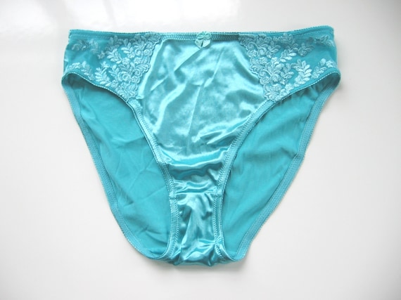 Vintage Delta Burke NEW 9371 Women's Aqua Floral Embroidery on Mesh Ultra  Soft Silky Stretch Satin Hi-cut Brief -  Canada